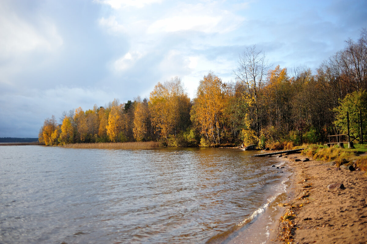 Осенью на Кавголовском озере... - Андрей Вестмит
