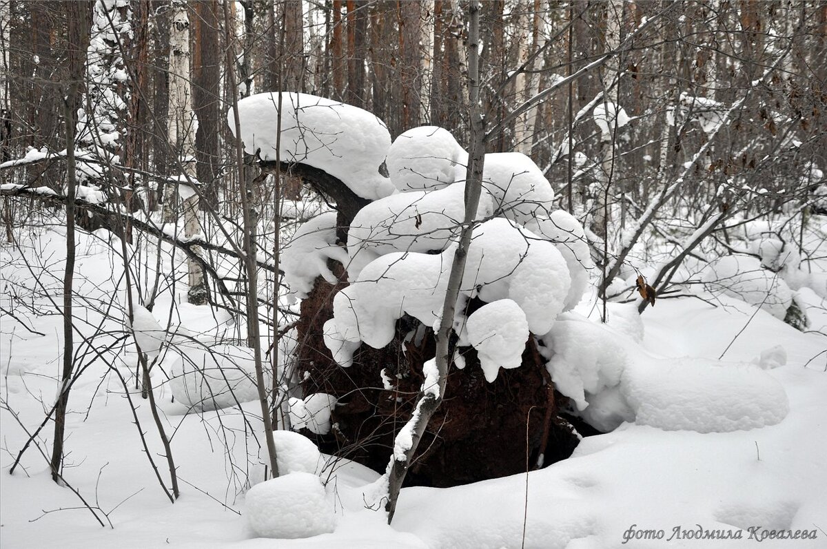 09.02.20 Февральская прогулка за город - Людмила Ковалева