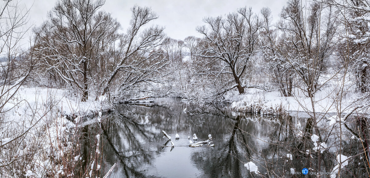 Отражение зимы - Игорь Сарапулов