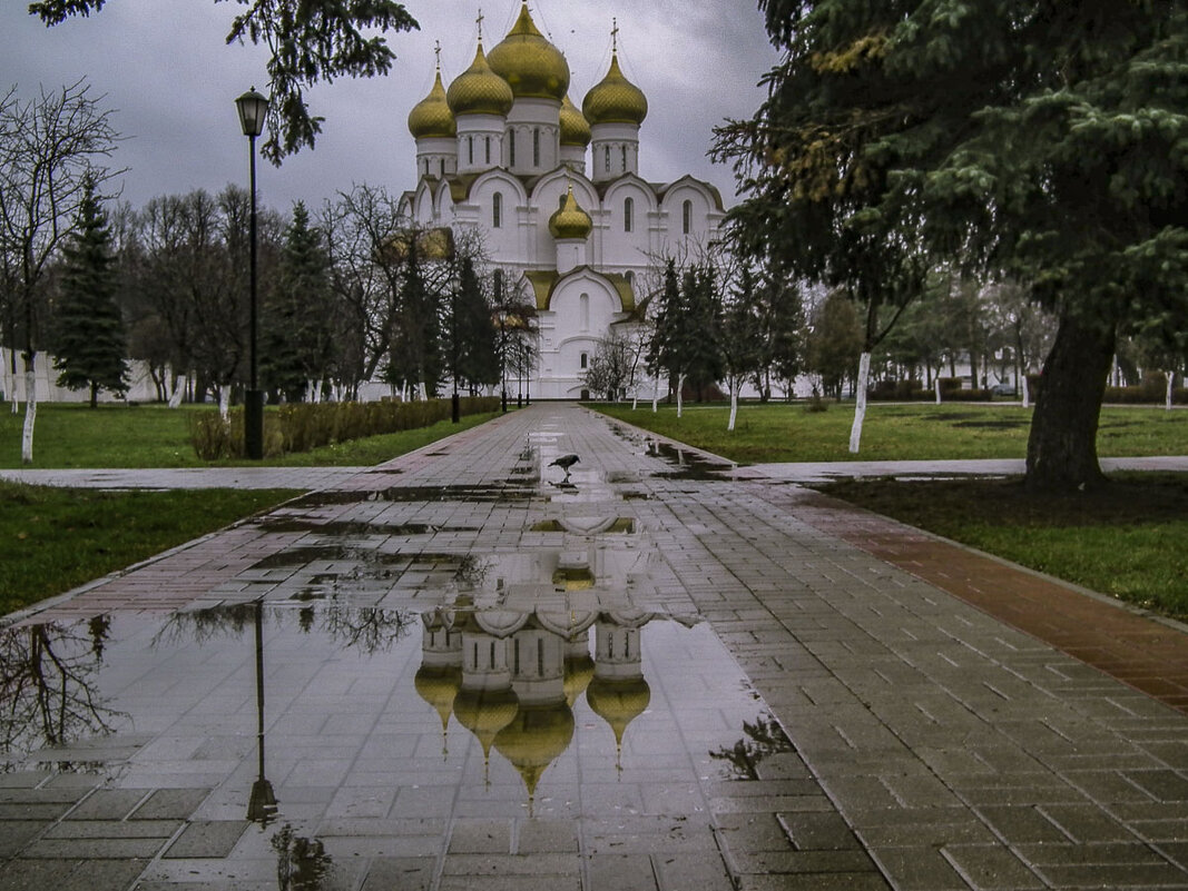 9.У природы нет плохой погоды... - Юрий Велицкий