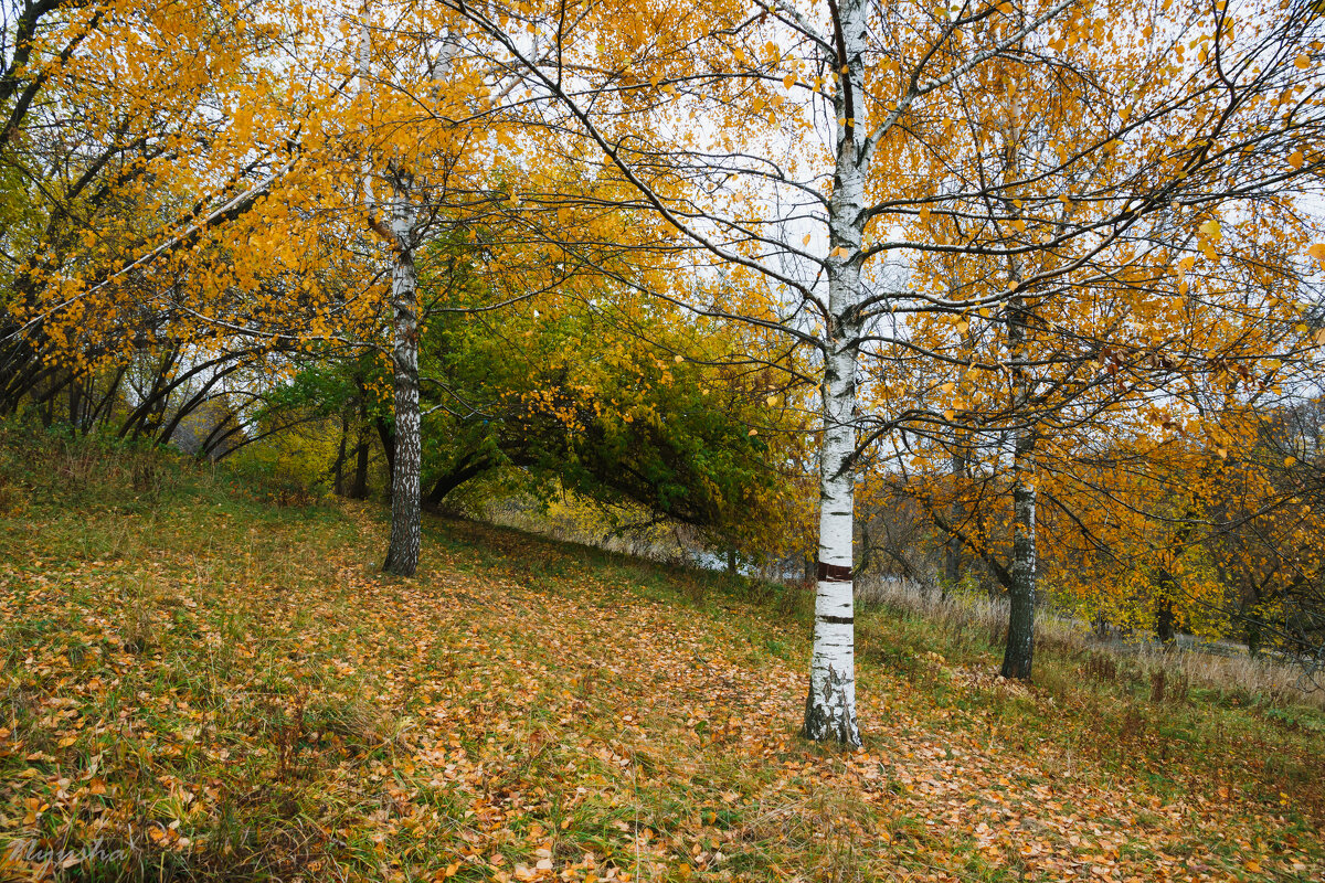 Осеннее (ностальгическое) - Nyusha .