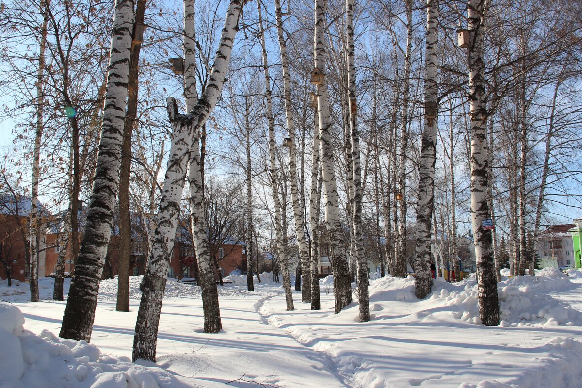 В парке городском. - Венера Чуйкова