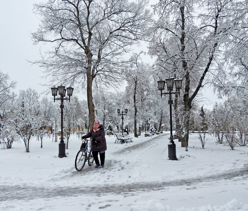 В зимнем парке - Роман Савоцкий