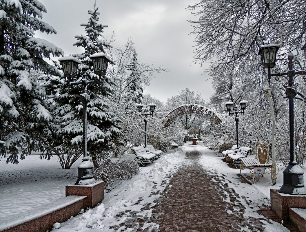 В зимнем парке - Роман Савоцкий