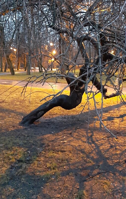 Вечером в парке - Наталья Герасимова