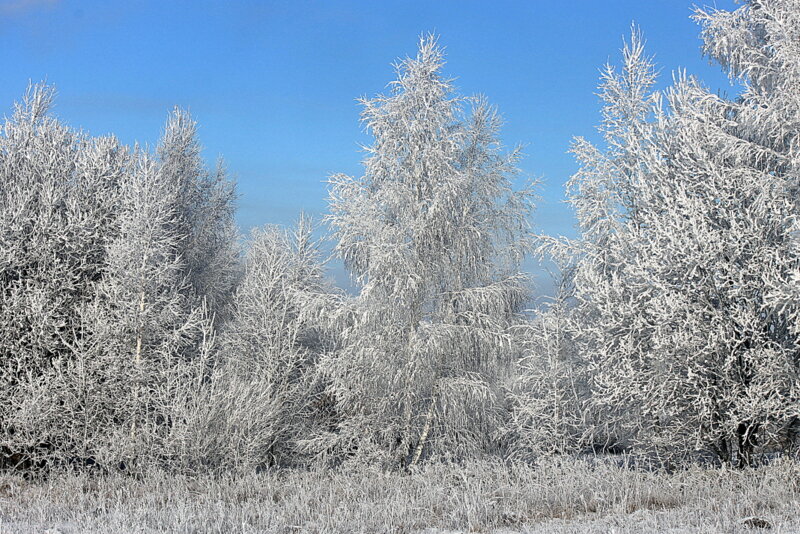 Зимний пейзаж. - оля san-alondra