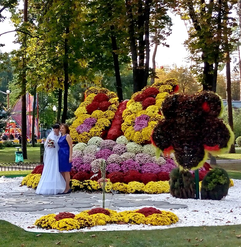 Фотосессия - Татьяна Пальчикова