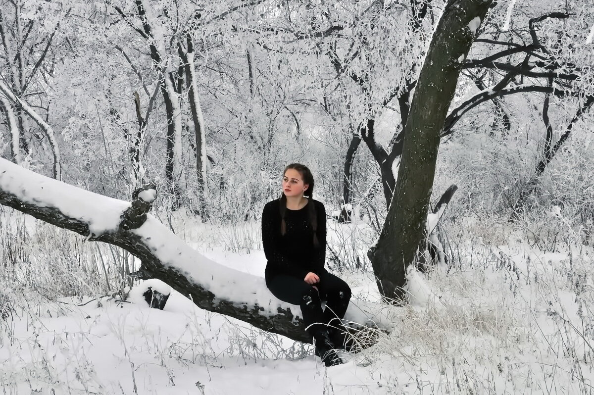 Зима в лесу - Любовь 