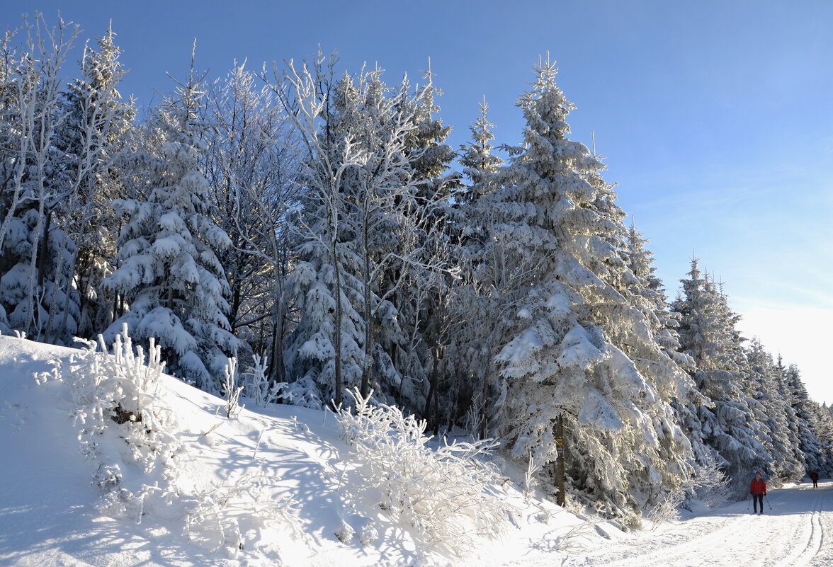Зимние прогулки в горах - tamara *****