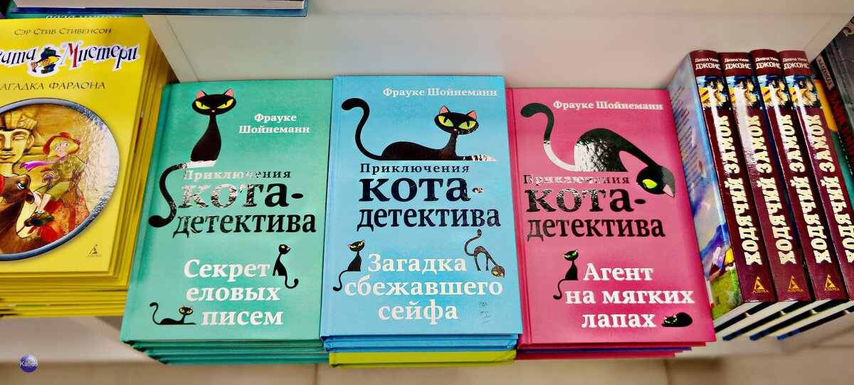 Ищу коту подарок на День рождения! - Екатерина Забелина