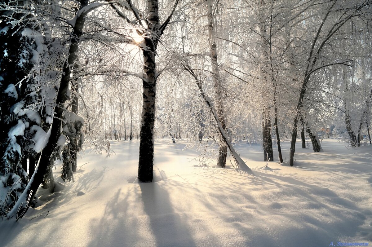 И в феврале мороз ещё бывает.. - Андрей Заломленков