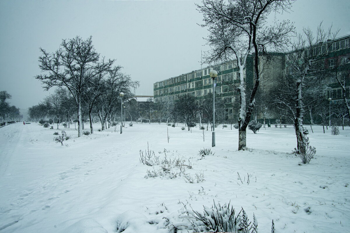 Снежный день - Анатолий Чикчирный