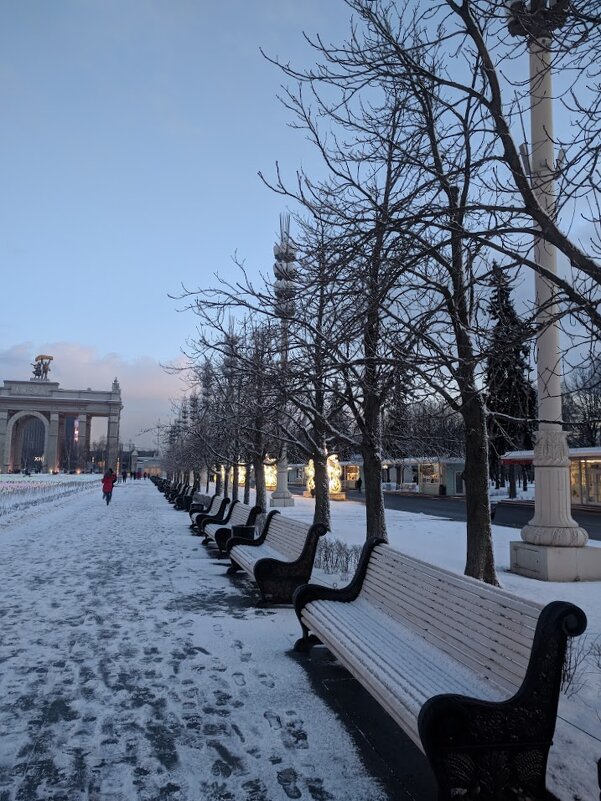 В вечернем парке - Марина Птичка