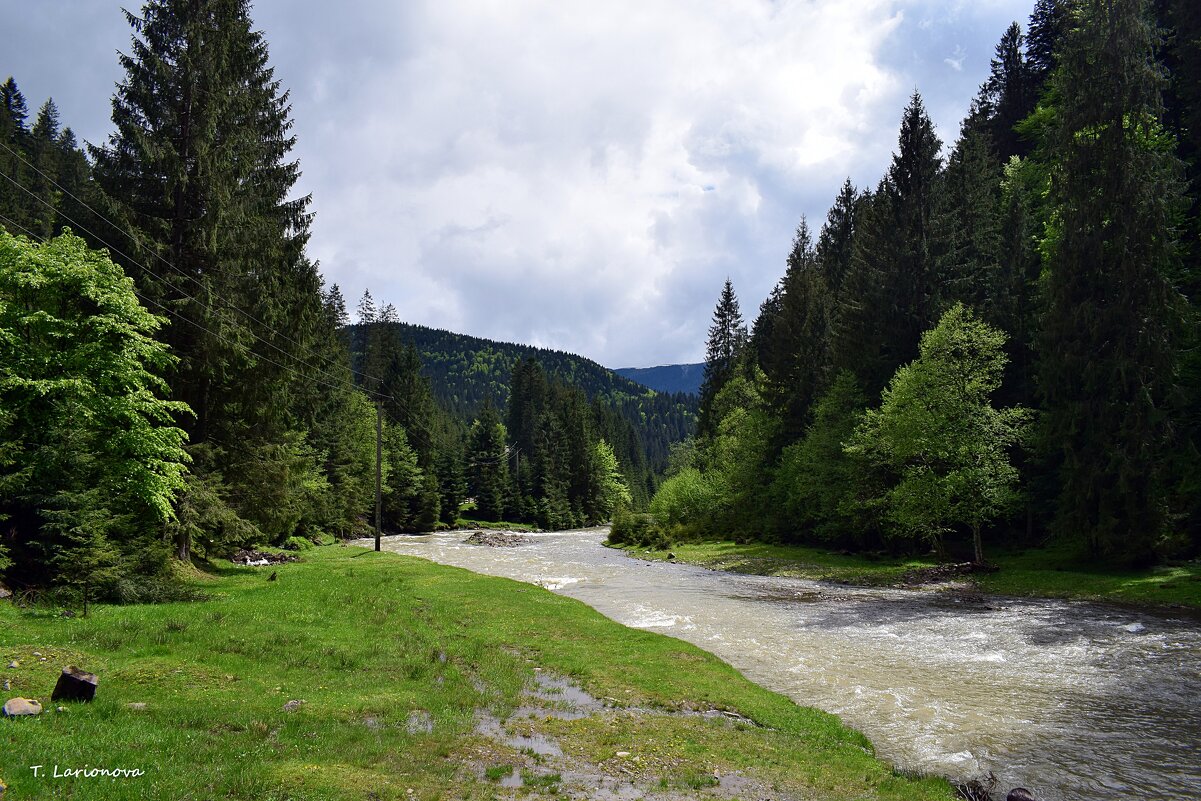 Реки Карпат - Татьяна Ларионова