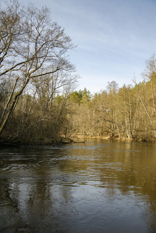 Река Жеймяна - Kliwo 