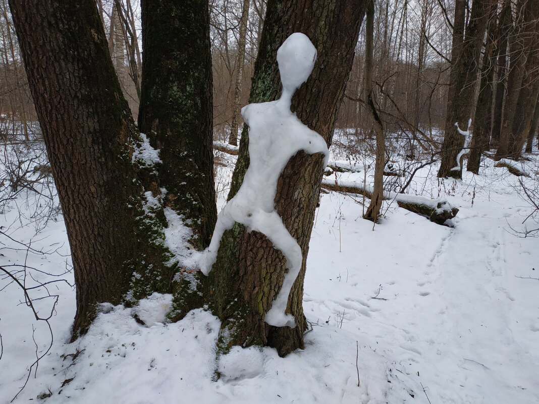 Существует ли снежный человек? - Андрей Лукьянов
