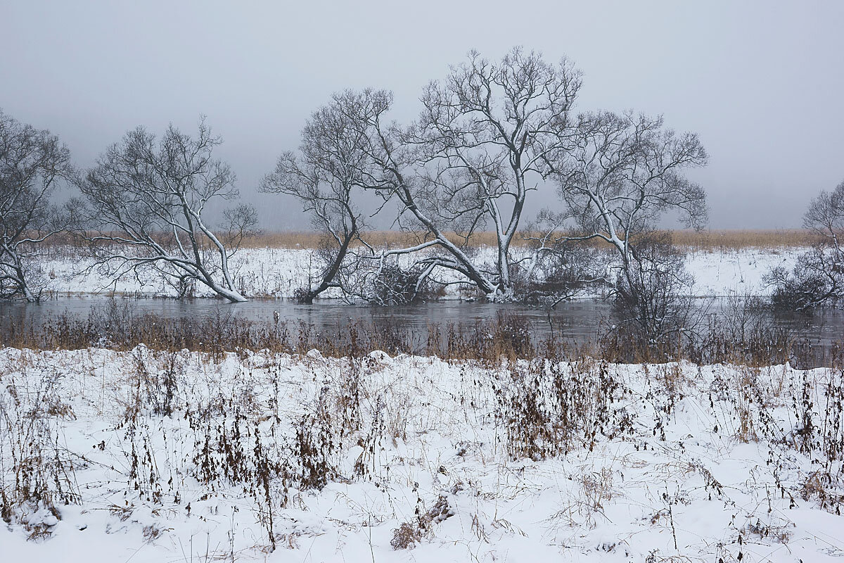 Туман в долине Протвы - Сергей Курников