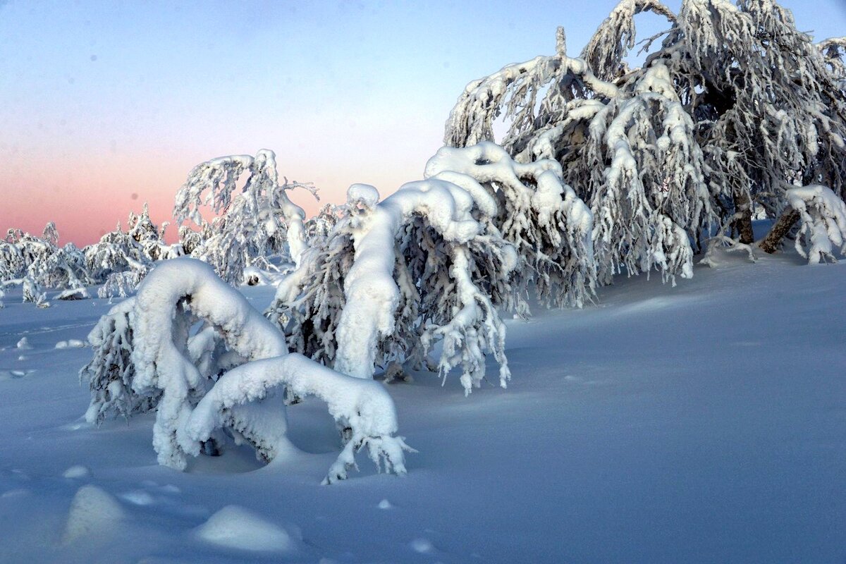 Тяжелый снег в Лапландии..... - Генрих 