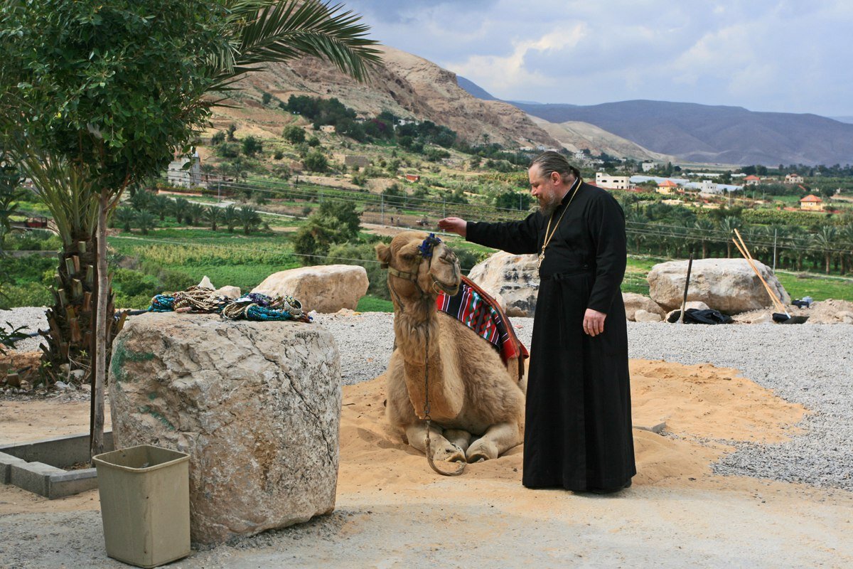 Наш батюшка понравился палестинскому верблюду - Зуев Геннадий 