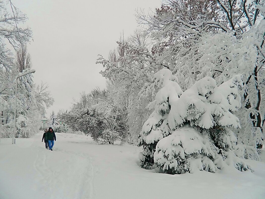Прогулка после снегопада - Александр Бурилов