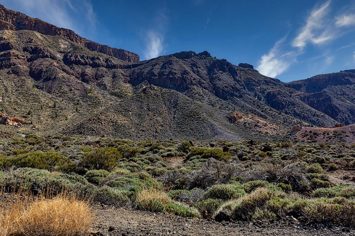 Teide 21 - Arturs Ancans