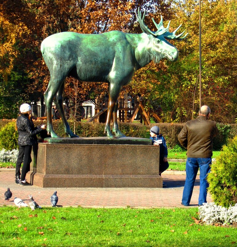 Гумбинненский раритет - Сергей Карачин