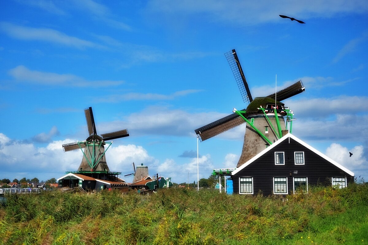 Zaanse Schans - Нидерланды - wea *