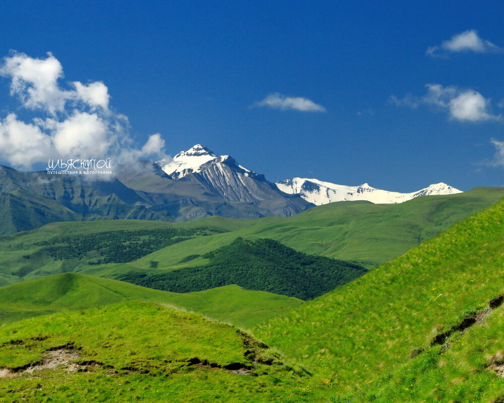 высокогорные луга Дагестана - Илья Скупой