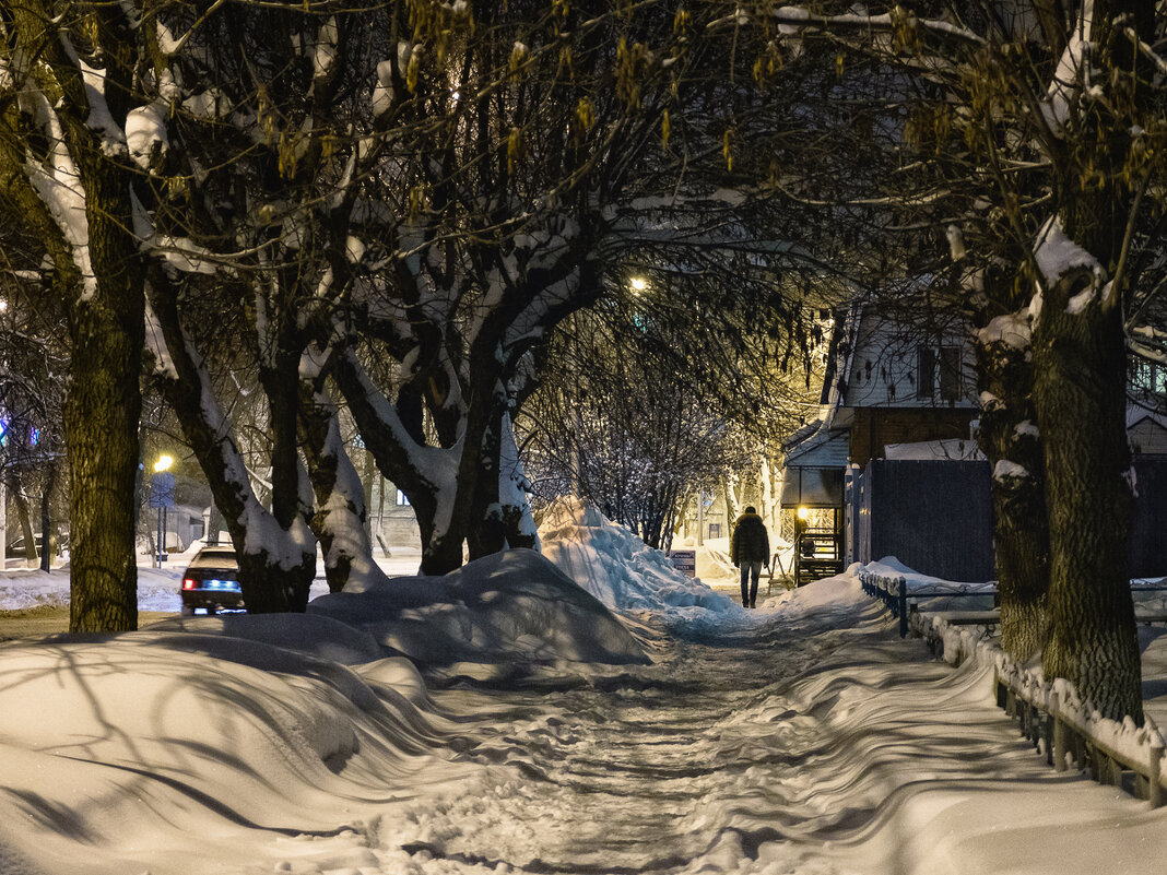 После снегопада - Сергей Шатохин 