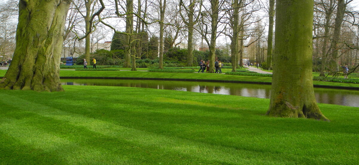 Голландия. Парк Keukenhof - Люсьена Шах