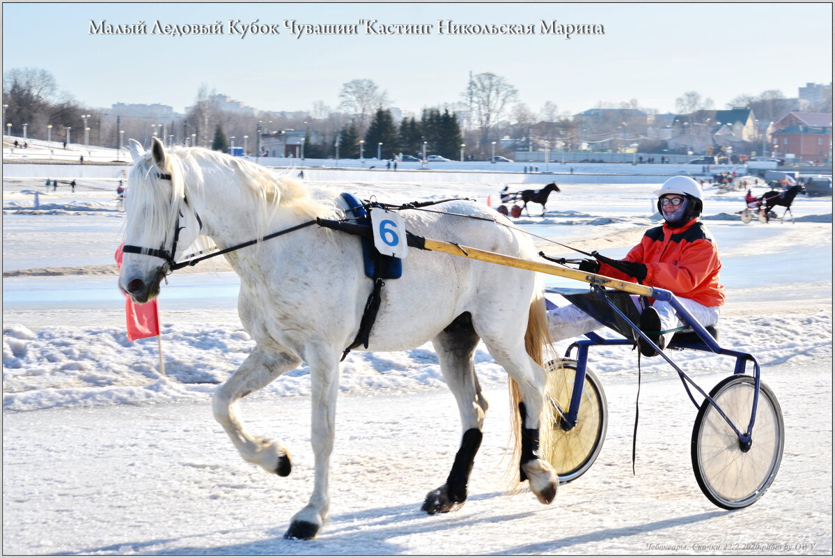 Скачки,конные бега,соревнование, и т.д. - Юрий Ефимов