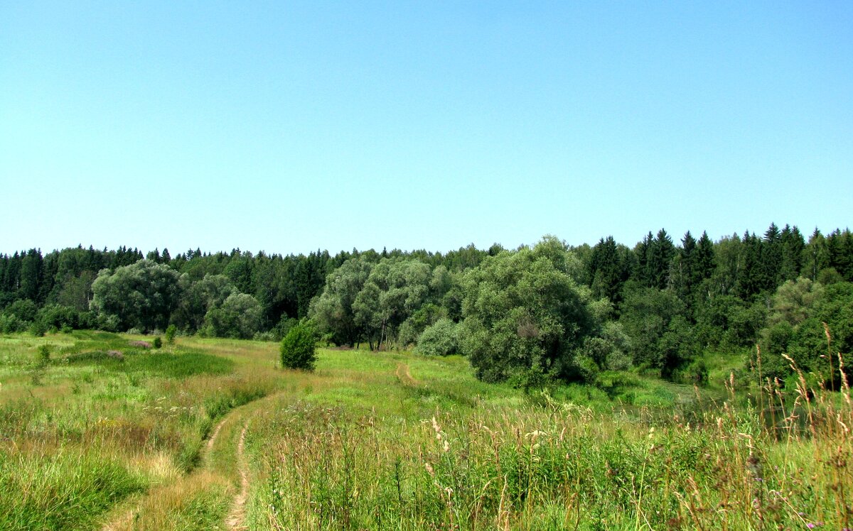 Дорога к речке - Людмила Смородинская