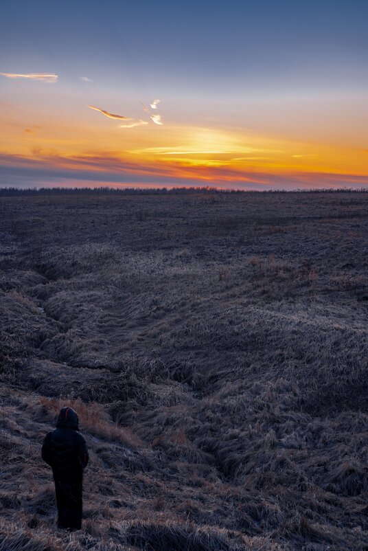 Этот закат мы наблюдали на Пулковских высотах 25 февраля 2020 года - Дарья Меркулова