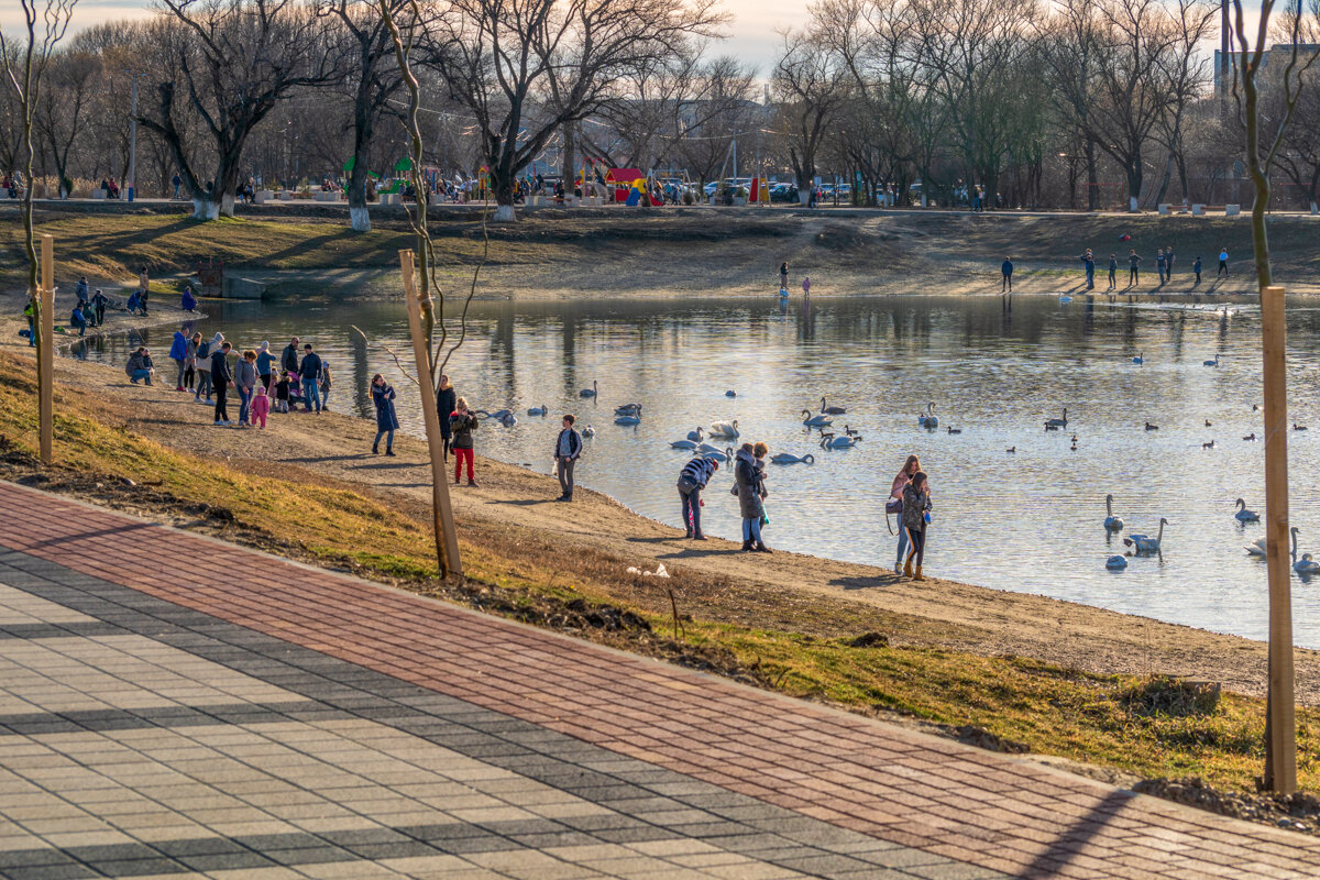 На городском водохранилище - Игорь Сикорский