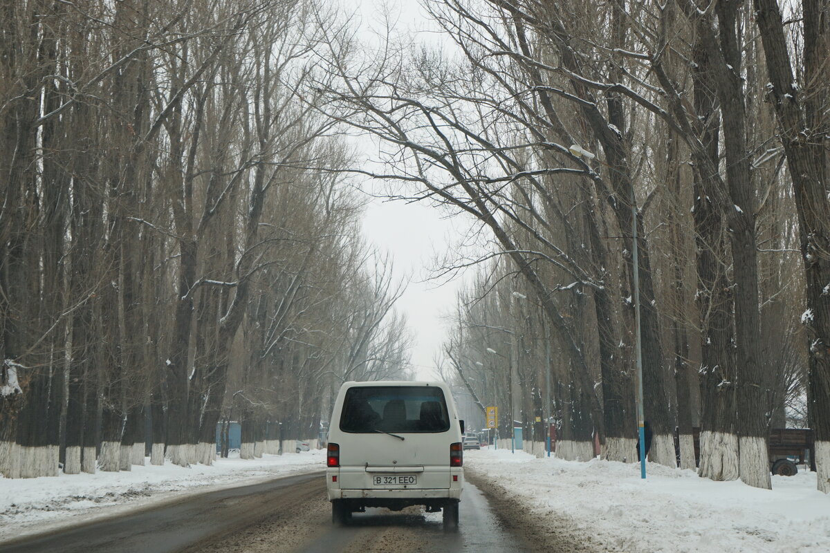 окрестности Алматы. - Murat Bukaev 