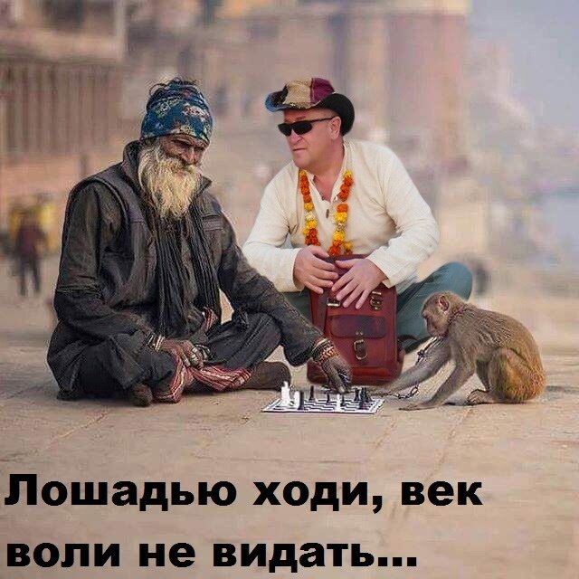 Лошадью ходи............ - олег 