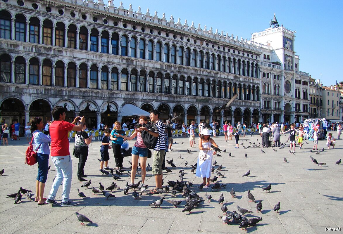 Туристы и голуби - Маргарита 