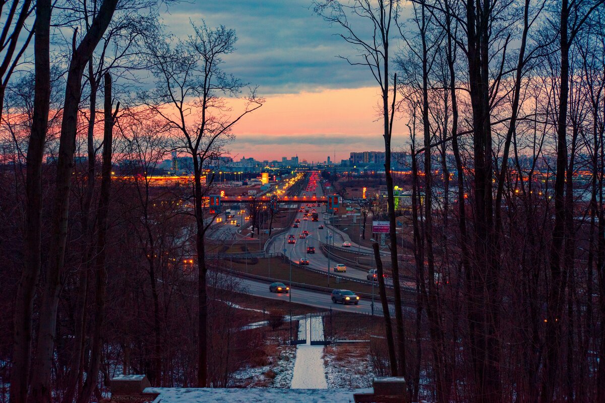 Городской пейзаж вечернего Петербурга - Дарья Меркулова