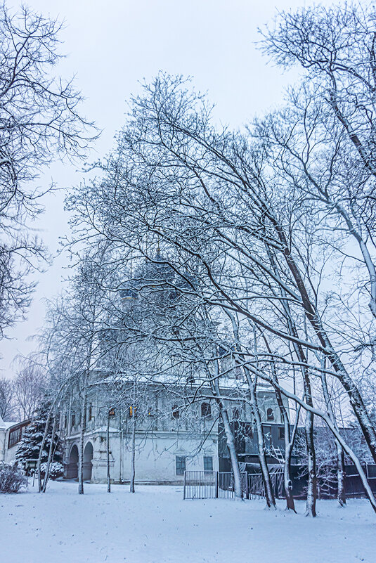 Москва. Коломенское. Февраль. - Игорь Герман