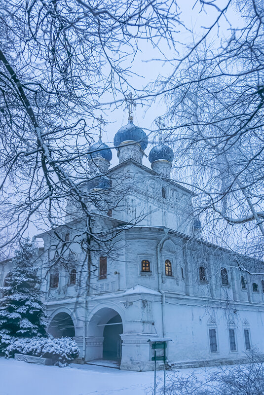 Москва. Коломенское. Февраль. - Игорь Герман