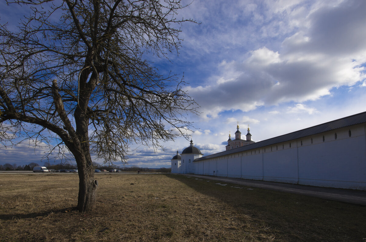 Северная стена Свенского монастыря - Евгений 