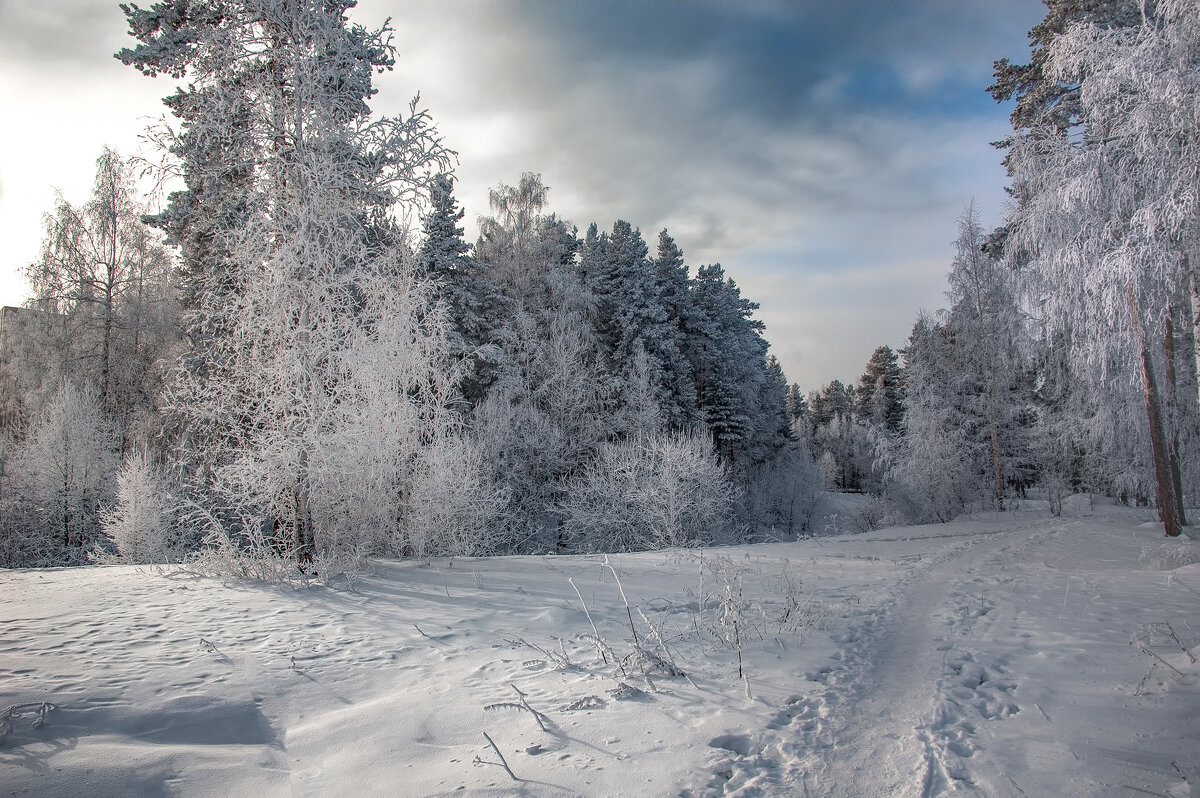 Зимний пейзаж - Vladimbormotov 