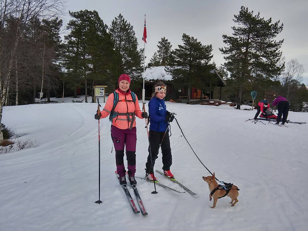 Лыжный день - Елена Байдакова