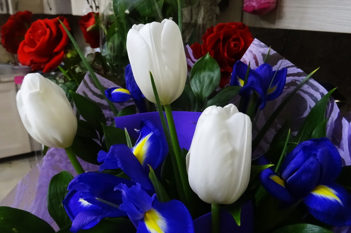 Белые тюльпаны - Татьяна Р 