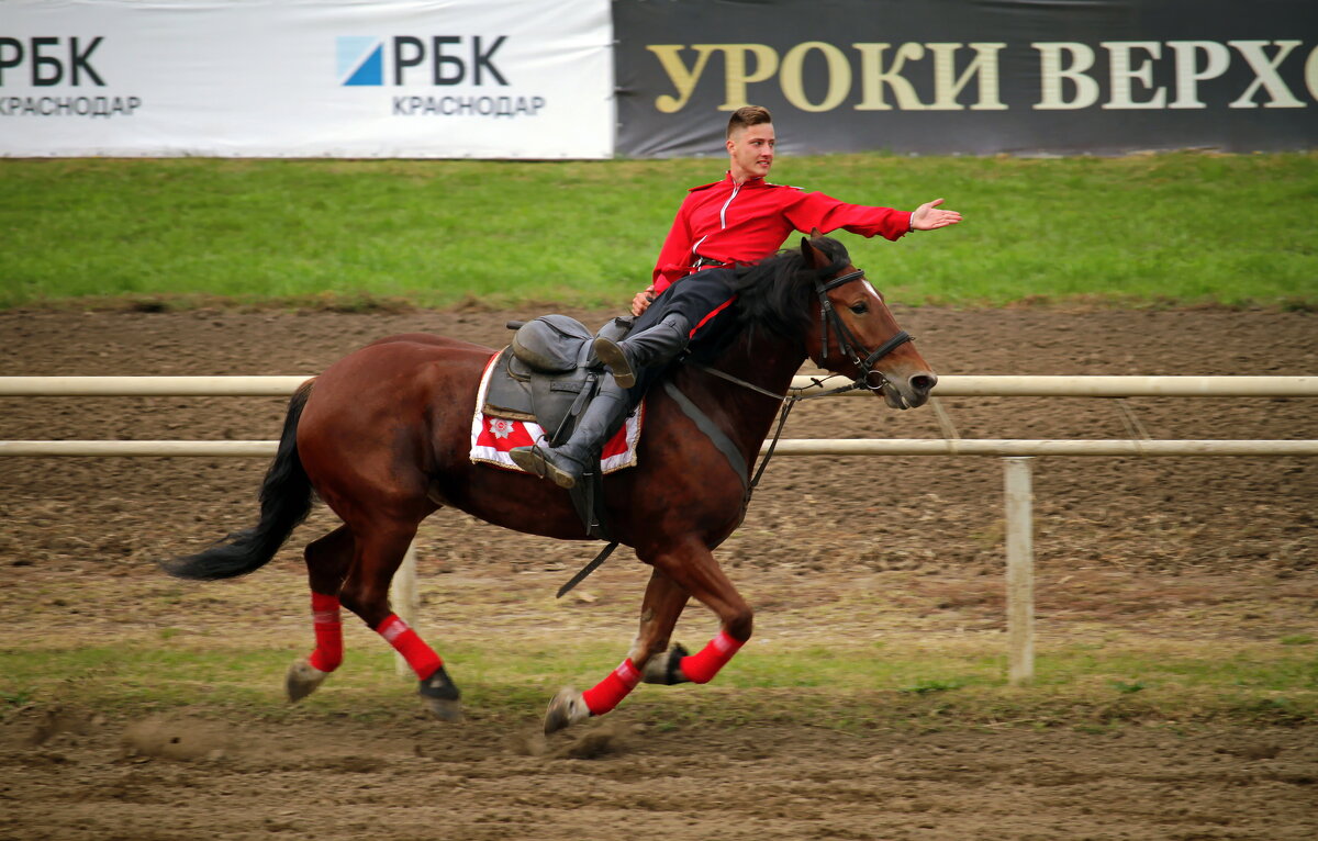 *** - Роман Величко