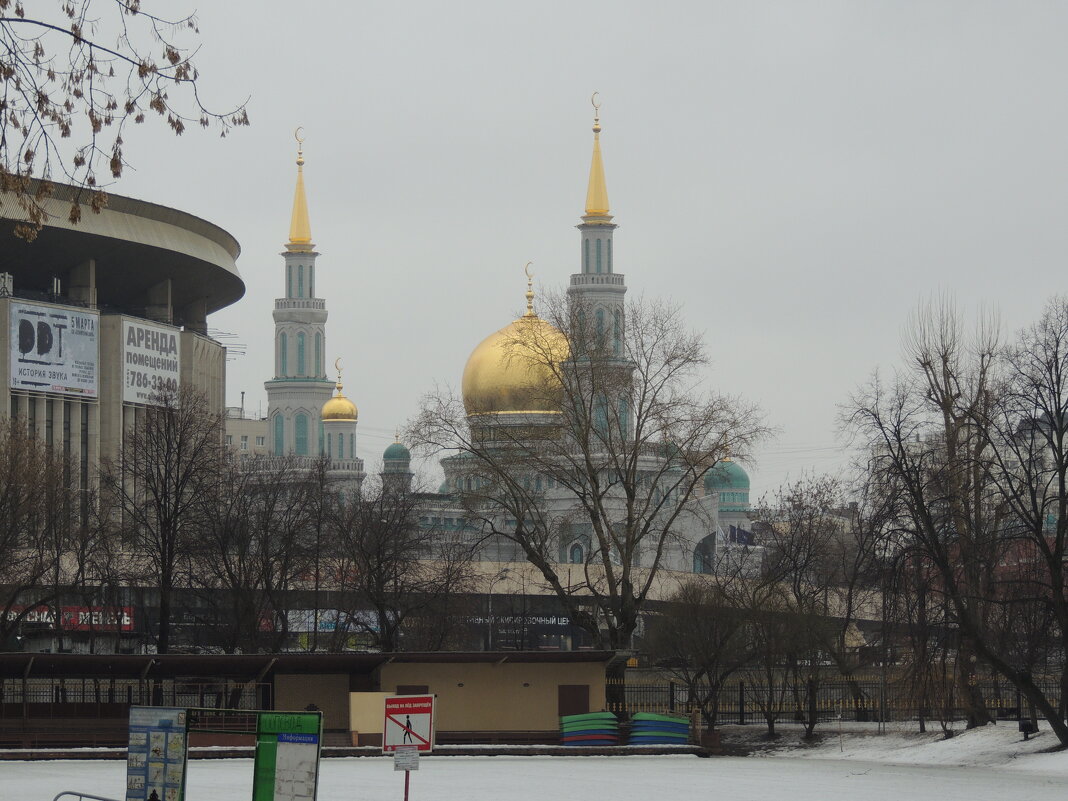 Московская соборная мечеть - Александр Качалин