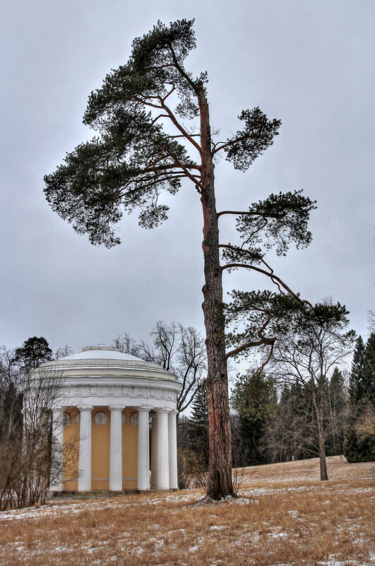 *** - Сергей Григорьев