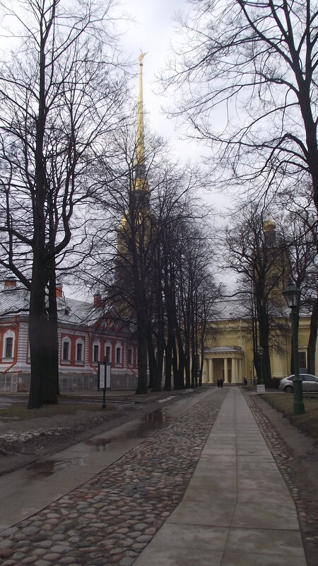 Петербургские зарисовки . - Татьяна 