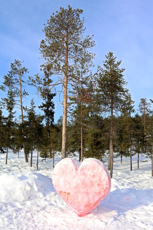 Снежное сердце - Ольга 