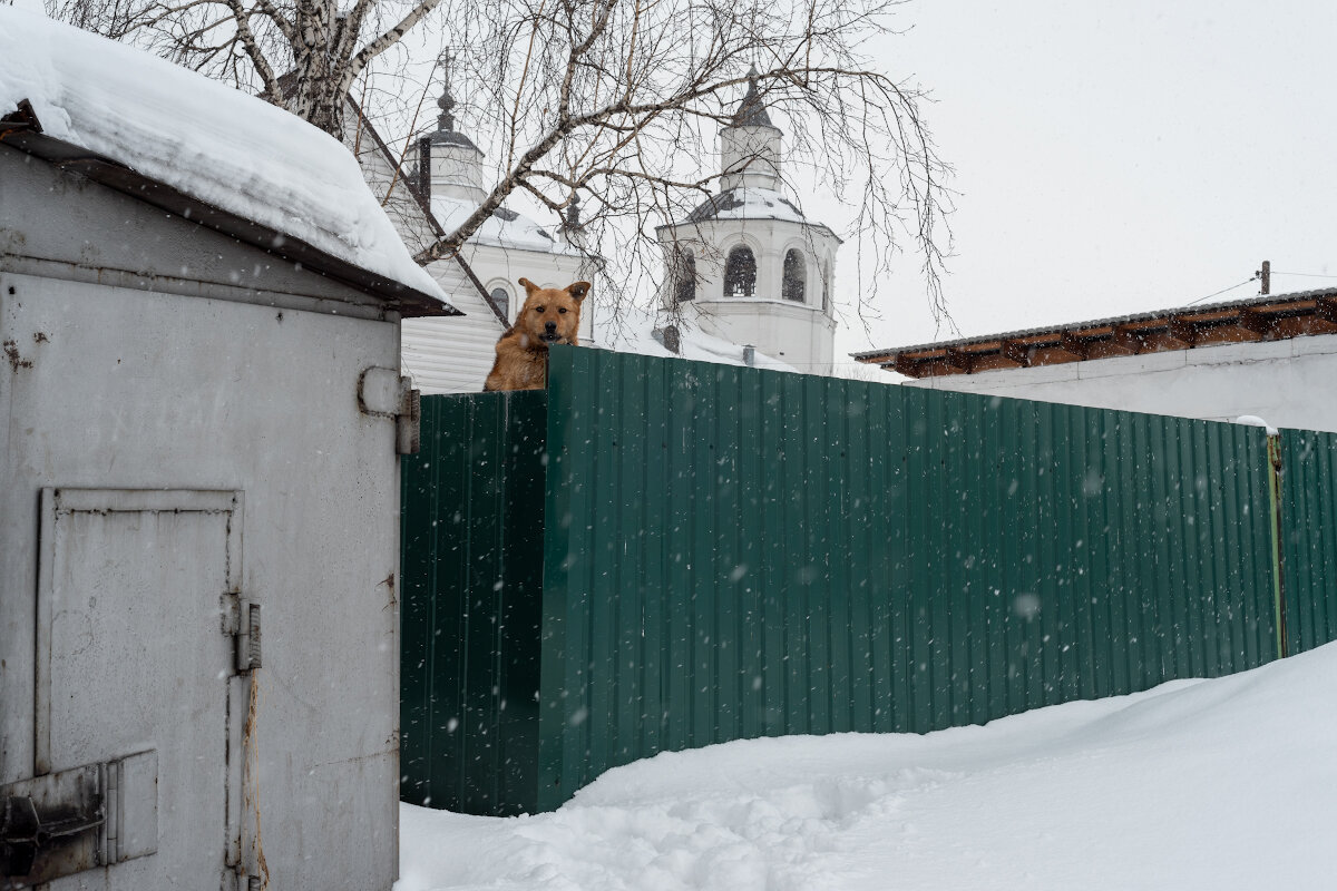 Куда же без них - Валерий Михмель 